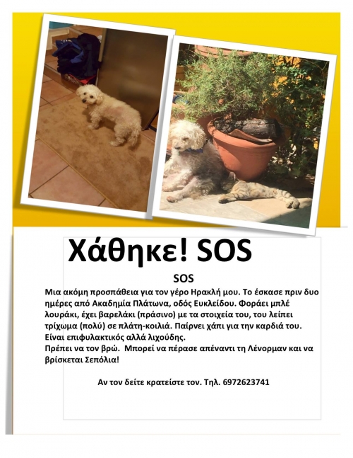 Χάθηκε ο Ηρακλής στον Κολωνό, μπορεί να βρίσκεται μακριά