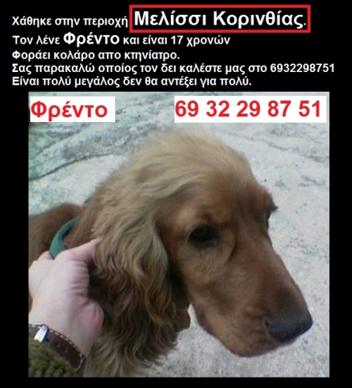 Μελίσσι Κορινθίας  Χάθηκε σκύλος