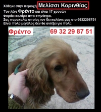 &Mu;&epsilon;&lambda;ί&sigma;&sigma;&iota; &Kappa;&omicron;&rho;&iota;&nu;&theta;ί&alpha;&sigmaf;  &Chi;ά&theta;&eta;&kappa;&epsilon; &sigma;&kappa;ύ&lambda;&omicron;&sigmaf;