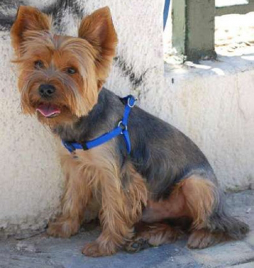 &Chi;ά&theta;&eta;&kappa;&epsilon; &sigma;&tau;&omicron; &Mu;&epsilon;&tau;&alpha;&xi;&omicron;&upsilon;&rho;&gamma;&epsilon;ί&omicron;