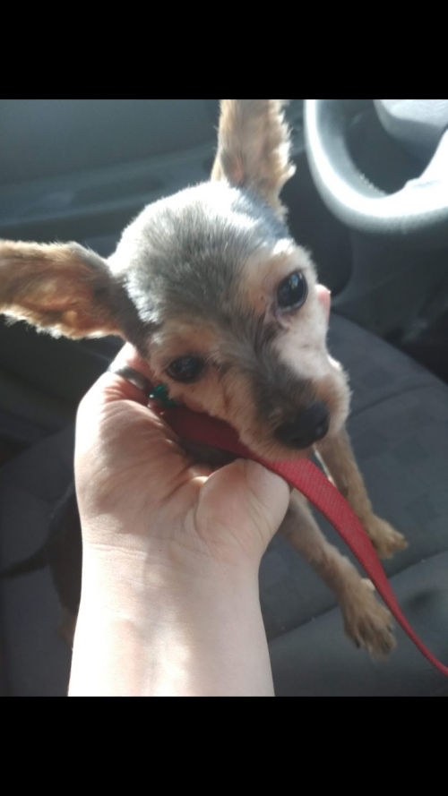 Χάσαμε το φιλαράκι μας!