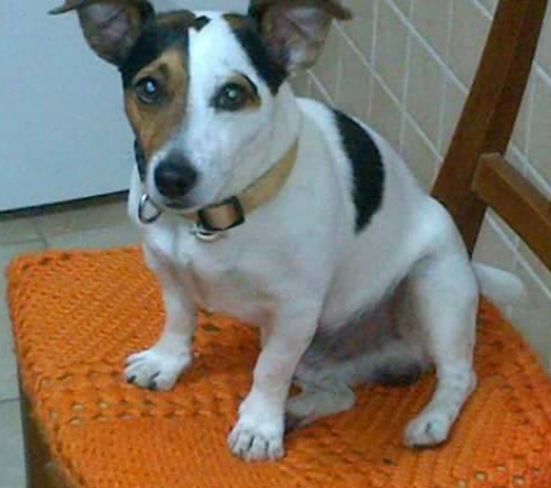 &Chi;ά&theta;&eta;&kappa;&epsilon; &Tau;&zeta;&alpha;&kappa; &Rho;ά&sigma;&epsilon;&lambda;, &Kappa;ά&lambda;&alpha;&mu;&omicron;&sigmaf; &Alpha;&tau;&tau;&iota;&kappa;ή&sigmaf;