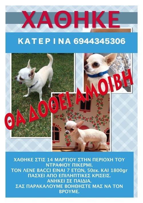 Βοηθήστε μας να βρούμε τον Bacci