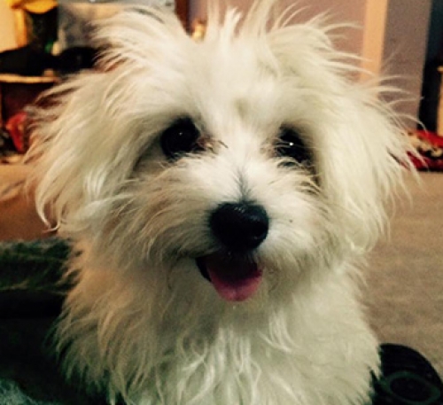 &Chi;ά&theta;&eta;&kappa;&epsilon; &sigma;&tau;&omicron; Ά&nu;&omega; &Kappa;&alpha;&lambda;&alpha;&mu;ά&kappa;&iota;