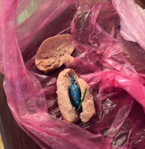 S.O.S φόλες στο Πολυδροσο!