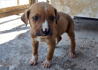 &Lambda;ά&rho;&alpha;