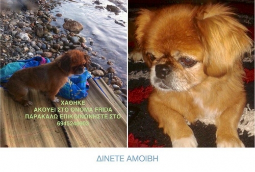 &Chi;ά&theta;&eta;&kappa;&epsilon; &kappa;&alpha;&phi;έ &Pi;&epsilon;&kappa;&iota;&nu;&omicron;&upsilon;ά, &Sigma;&tau;&alpha;&mu;ά&tau;&alpha; &Alpha;&tau;&tau;&iota;&kappa;ή&sigmaf;