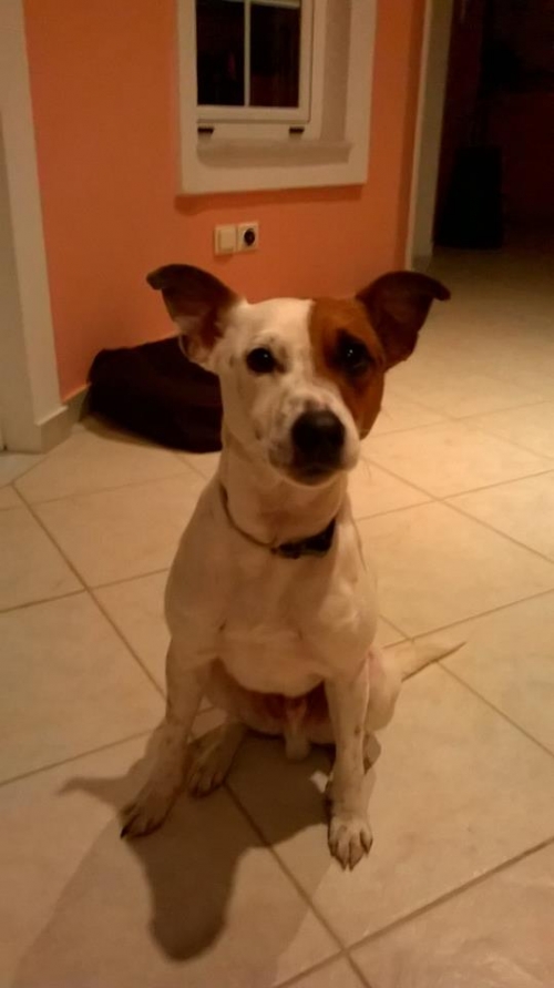 &Beta;&rho;έ&theta;&eta;&kappa;&epsilon; ά&sigma;&pi;&rho;&omicron;-&kappa;&alpha;&phi;έ &Tau;&zeta;&alpha;&kappa; &Rho;ά&sigma;&sigma;&epsilon;&lambda;