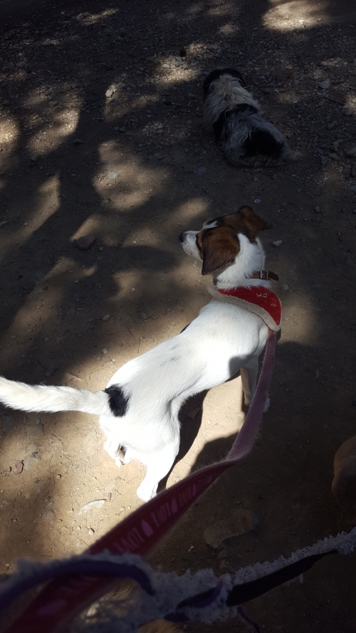 Εχασα τον hercules