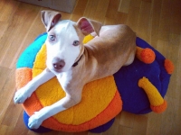 &Sigma;&pi;ί&theta;&alpha;&sigmaf;