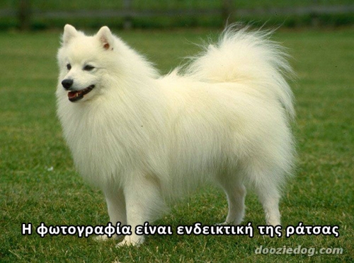 Χάθηκε Σπιτζ, Ίσθμια