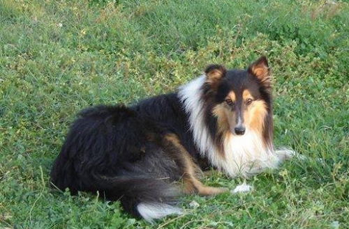 &Chi;ά&theta;&eta;&kappa;&epsilon; &Kappa;ό&lambda;&lambda;&epsilon;ϊ, &Omicron;&upsilon;&rho;&alpha;&nu;&omicron;ύ&pi;&omicron;&lambda;&eta; - &Chi;&alpha;&lambda;&kappa;&iota;&delta;&iota;&kappa;ή