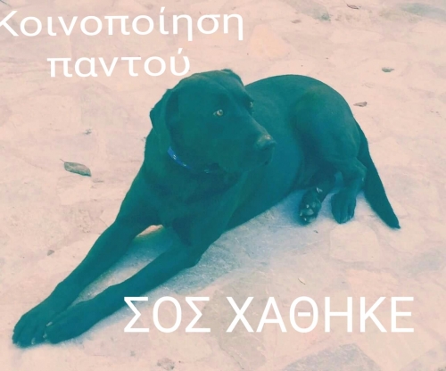 &Chi;ά&theta;&eta;&kappa;&epsilon; &mu;&alpha;ύ&rho;&omicron; &eta;&mu;ί&alpha;&iota;&mu;&omicron; &Lambda;ά&mu;&pi;&rho;&alpha;&nu;&tau;&omicron;&rho;