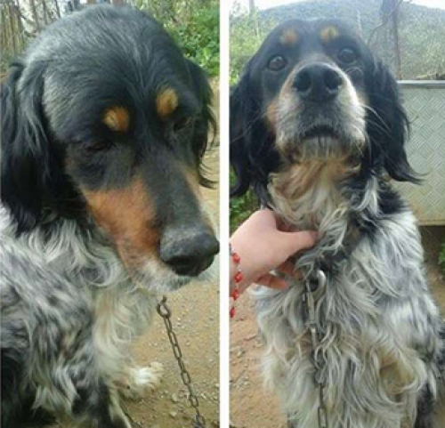 &Kappa;&lambda;ά&pi;&eta;&kappa;&epsilon; &Sigma;έ&tau;&tau;&epsilon;&rho; &Lambda;ά&beta;&epsilon;&rho;&alpha;&kappa;