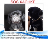 &Chi;&Alpha;&Theta;&Eta;&Kappa;&Epsilon; &Sigma;&Kappa;&Upsilon;&Lambda;&Alpha;&Kappa;&Iota; &Alpha;&Pi;&Omicron; &Epsilon;&Upsilon;&Omicron;&Sigma;&Mu;&Omicron; &Theta;&Epsilon;&Sigma;/&Nu;&Iota;&Kappa;&Eta;&Sigma;