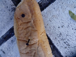 &Phi;ό&lambda;&epsilon;&sigmaf; &sigma;&tau;&omicron; &Kappa;&iota;&lambda;&kappa;ί&sigmaf;
