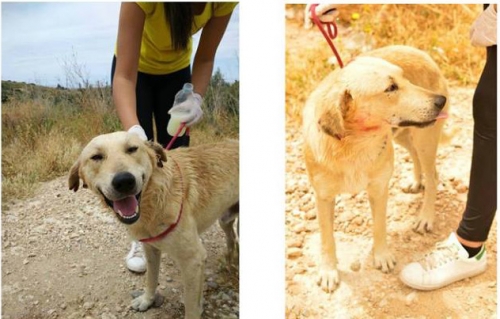 &Chi;ά&theta;&eta;&kappa;&epsilon; &omicron; &Tau;ά&kappa;&epsilon;&rho;, &Alpha;&sigma;&pi;&rho;ό&pi;&upsilon;&rho;&gamma;&omicron;&sigmaf;