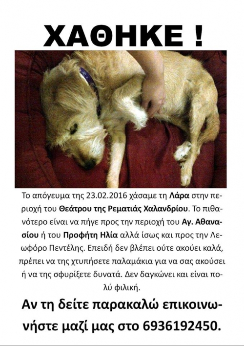 &Chi;ά&theta;&eta;&kappa;&epsilon; &mu;&pi;&epsilon;&zeta; &sigma;&kappa;&upsilon;&lambda;ά&kappa;&iota;, &Chi;&alpha;&lambda;ά&nu;&delta;&rho;&iota;