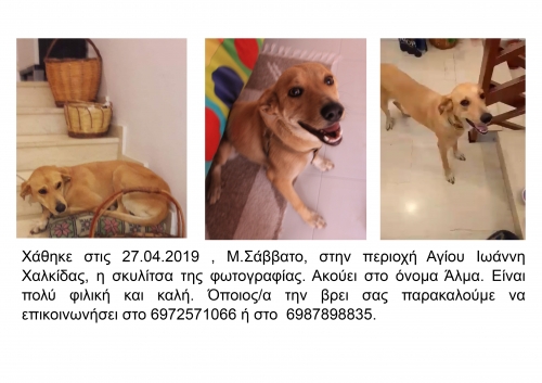 Χαθηκε Χαλκιδα