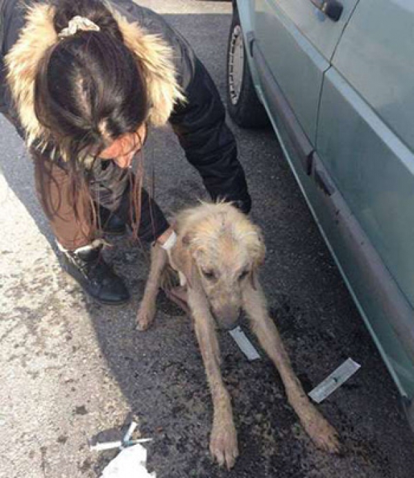 &Phi;ό&lambda;&epsilon;&sigmaf; &sigma;&tau;&eta; &Nu;&epsilon;ά&pi;&omicron;&lambda;&eta; &Lambda;&alpha;&kappa;&omega;&nu;ί&alpha;&sigmaf;