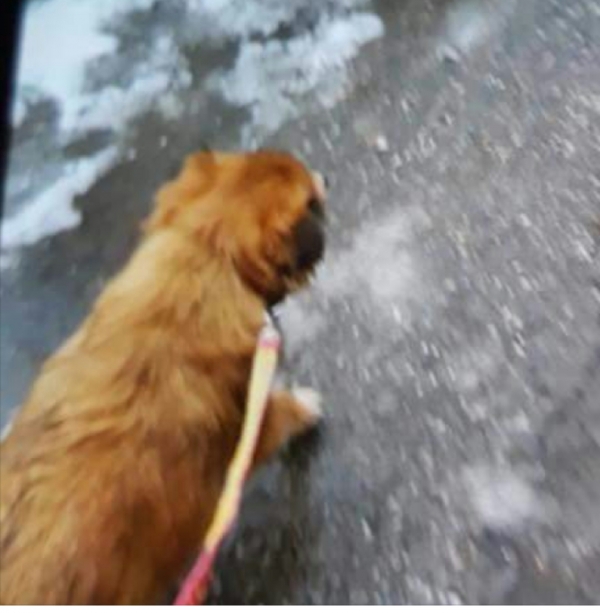 &Chi;&alpha;&theta;&eta;&kappa;&epsilon; &eta;&mu;&iota;&alpha;&iota;&mu;&omicron; &pi;&epsilon;&kappa;&iota;&nu;&omicron;&upsilon;&alpha;, &Alpha;&nu;&omega; &Pi;&alpha;&tau;&eta;&sigma;&iota;&alpha;