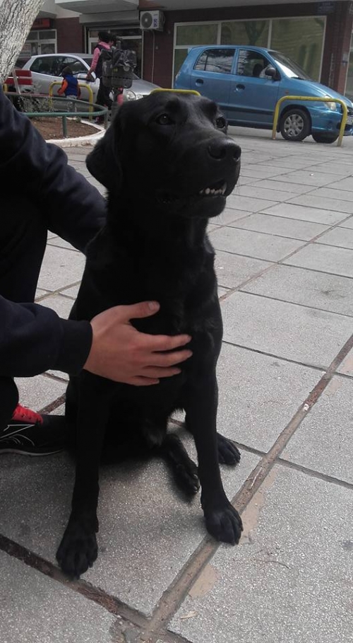 &Beta;&rho;έ&theta;&eta;&kappa;&epsilon; &mu;&alpha;ύ&rho;&omicron; &Lambda;ά&mu;&pi;&rho;&alpha;&nu;&tau;&omicron;&rho;, &Tau;&omicron;ύ&mu;&pi;&alpha;