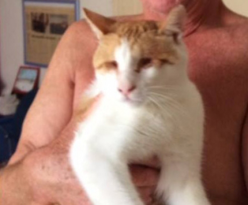 &Chi;ά&theta;&eta;&kappa;&epsilon; &tau;&upsilon;&phi;&lambda;ό&sigmaf; &gamma;ά&tau;&omicron;&sigmaf;, &Sigma;ύ&rho;&omicron;&sigmaf;