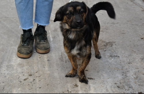 Ο ΚΡΊΣΤΙΑΝ ΠΕΡΙΜΕΝΕΙ..