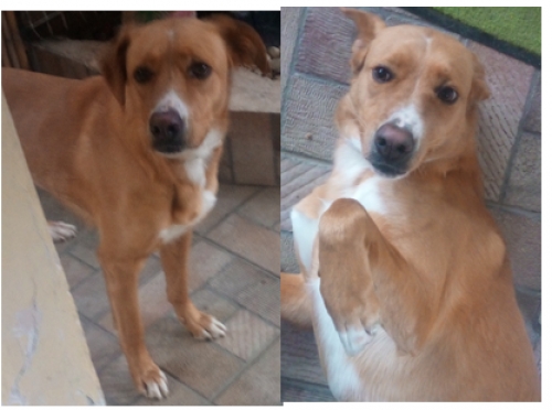 ΧΑΘΗΚΕ Η ΙΡΜΑ