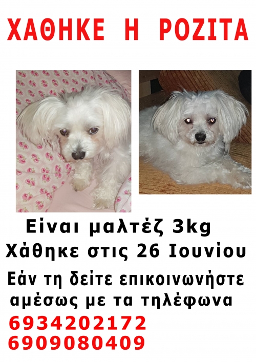 Χάθηκε η Ροζίτα από Περιστέρι Αττικής