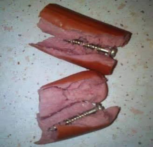 Φόλες στη Γλυφάδα