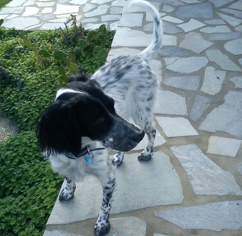 &Chi;ά&theta;&eta;&kappa;&epsilon; &Sigma;έ&tau;&tau;&epsilon;&rho;, &Sigma;ύ&rho;&omicron;&sigmaf;