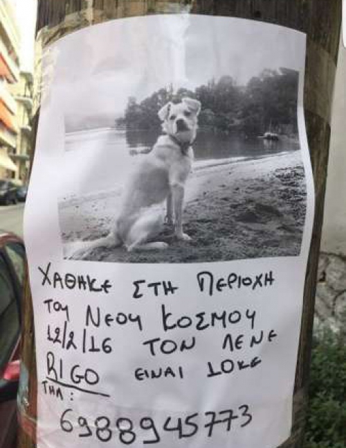 &Chi;ά&theta;&eta;&kappa;&epsilon; &lambda;&epsilon;&upsilon;&kappa;ό &sigma;&kappa;&upsilon;&lambda;ά&kappa;&iota;, &Nu;. &Kappa;ό&sigma;&mu;&omicron;&sigmaf;