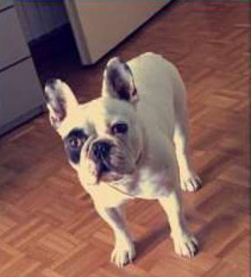 Χάθηκε στη Ν. Σμύρνη