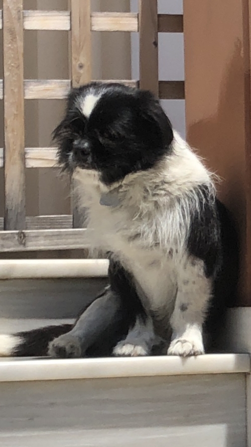 ΧΑΘΗΚΕ ΣΤΟΝ ΚΑΣΤΕΛΟΚΑΜΠΟ ΤΗΣ ΠΑΤΡΑΣ