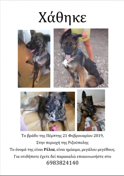 ΧΑΘΗΚΕ ΗΜΙΑΙΜΟ ΘΗΛΥΚΟ ΣΤΟΝ ΠΡΟΜΠΟΝΑ, ΑΤΤΙΚΗΣ