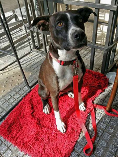 &Chi;ά&theta;&eta;&kappa;&epsilon; &sigma;&tau;&eta;&nu; &Kappa;&alpha;&lambda;&alpha;&mu;&alpha;&rho;&iota;ά