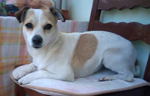 &Beta;&rho;έ&theta;&eta;&kappa;&epsilon; &sigma;&tau;&eta;&nu; &Alpha;&gamma;. &Beta;&alpha;&rho;&beta;ά&rho;&alpha;