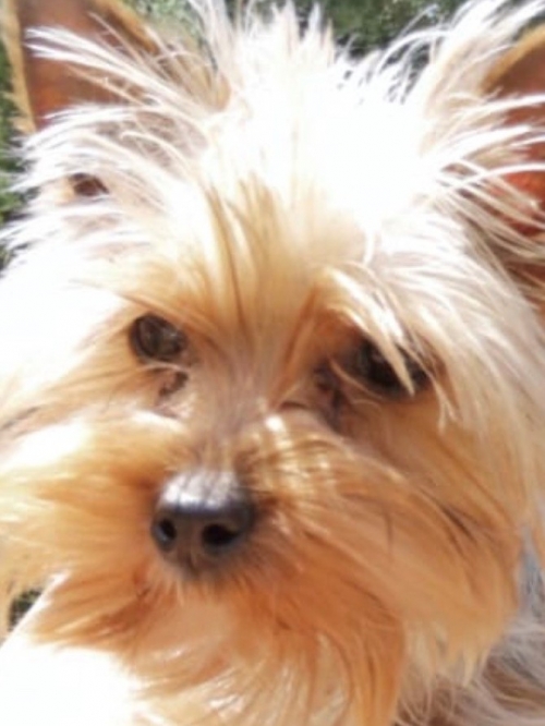 ΤΗΝ ΚΛΕΨΑΝΕ