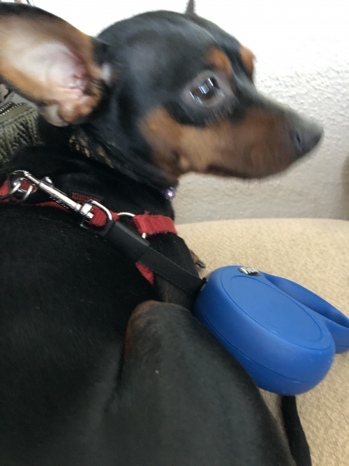 Χάθηκε στο Πανόραμα Θεσσαλονίκης