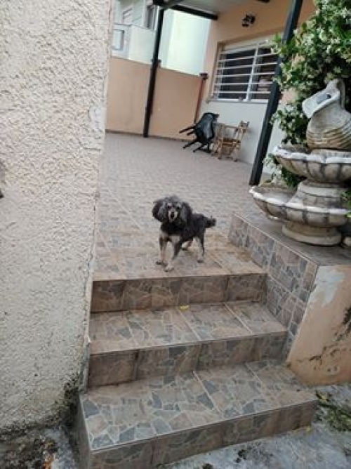 βρεθηκε στα σεληνια σαλαμινας