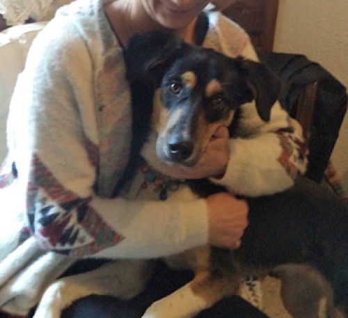 Χάθηκε μαύρο σκυλί, Βούλα