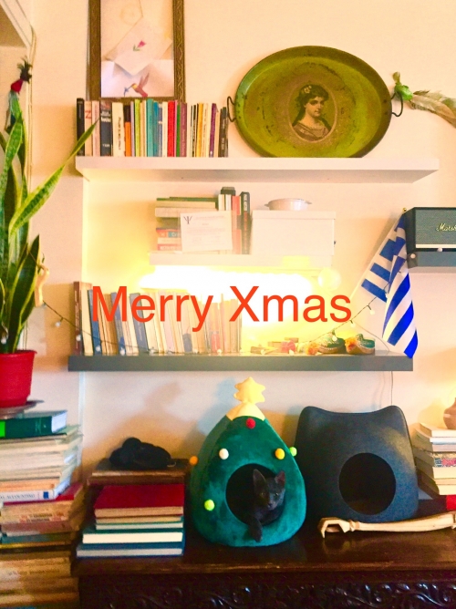 χάθηκε γάτα, γκρι 5 μηνών, κέντρο Ηρακλείου 29.12.