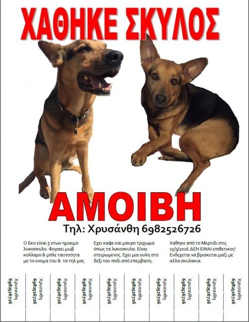 &Chi;ά&theta;&eta;&kappa;&epsilon; &eta;&mu;ί&alpha;&iota;&mu;&omicron; &lambda;&upsilon;&kappa;ό&sigma;&kappa;&upsilon;&lambda;&omicron;, &Mu;&epsilon;&rho;&tau;ί&delta;&iota;