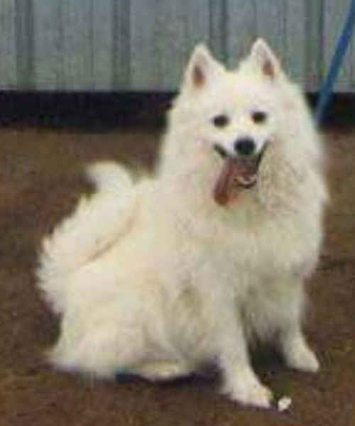 &Chi;ά&theta;&eta;&kappa;&epsilon; &Sigma;&pi;&iota;&tau;&zeta;, &Lambda;ά&rho;&nu;&alpha;&kappa;&alpha; &Kappa;ύ&pi;&rho;&omicron;&sigmaf;