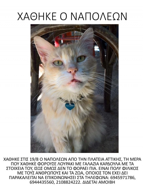 ΧΑΘΗΚΕ Ο ΝΑΠΟΛΕΩΝ