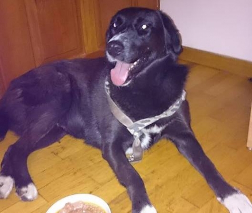 &Beta;&rho;έ&theta;&eta;&kappa;&epsilon; &mu;&alpha;ύ&rho;&omicron; &theta;&eta;&lambda;&upsilon;&kappa;ό, &Nu;&epsilon;ά&pi;&omicron;&lambda;&eta; &Nu;ί&kappa;&alpha;&iota;&alpha;