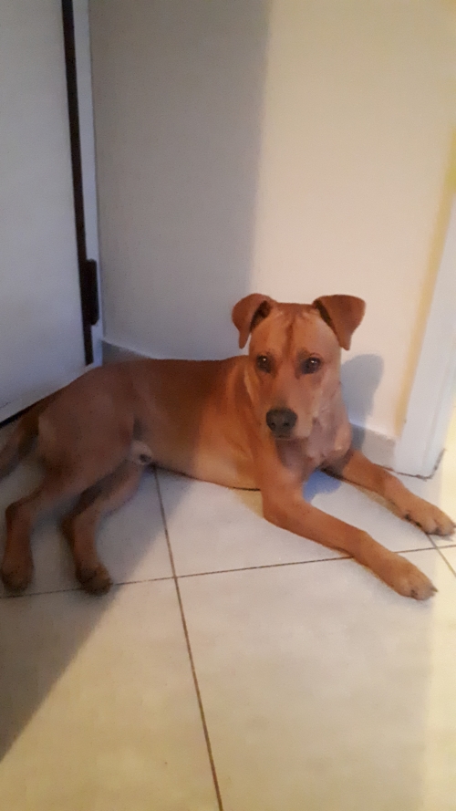 Εντωπιστηκε - βρεθηκε