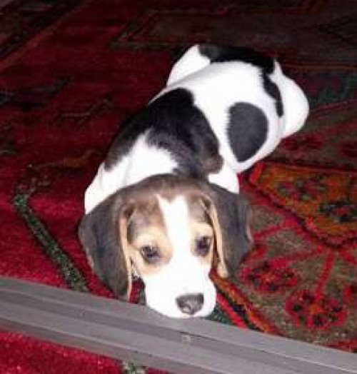 &Chi;ά&theta;&eta;&kappa;&epsilon; &kappa;&omicron;&upsilon;&tau;ά&beta;&iota;, &mu;ά&lambda;&lambda;&omicron;&nu; &Mu;&pi;&iota;&gamma;&kappa;&lambda;