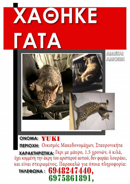 χαθηκε ο Yuki στο Πανοραμα Θεσσαλονικης